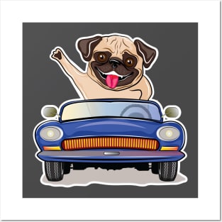 Pug Dog Driving A Car Posters and Art